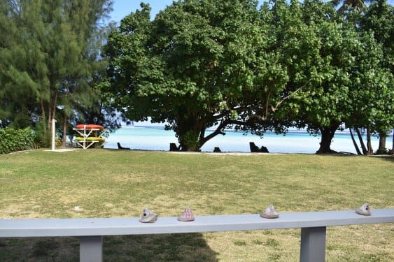 Big back yard down to the beach